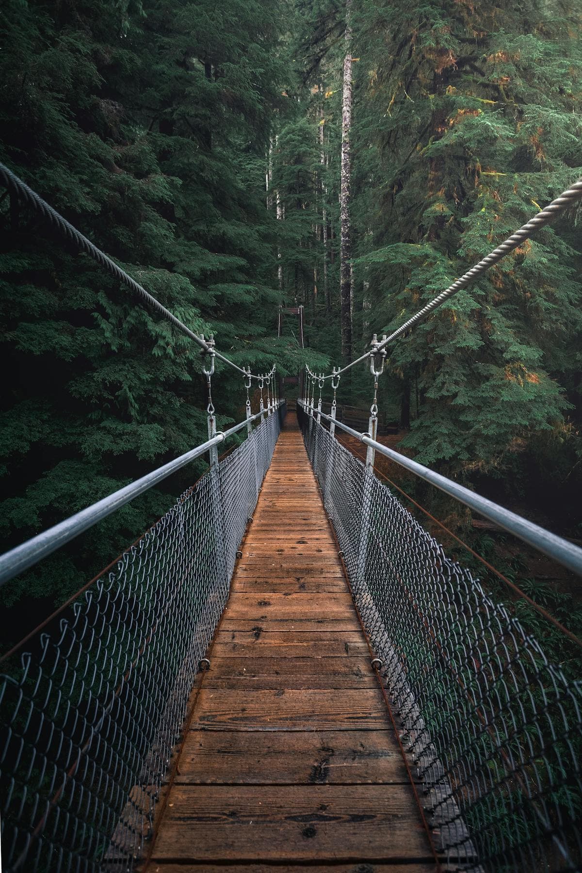 Idaho forest bridge